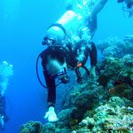 Philippine Fun Divers - Divers Alona Beach Panglao Bohol President Ramos 6